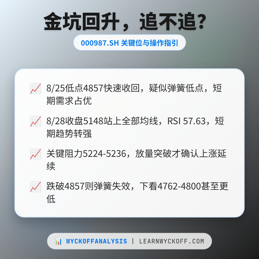 20260828 000987.SH 行情数据复盘报告（基于威科夫量价视角）