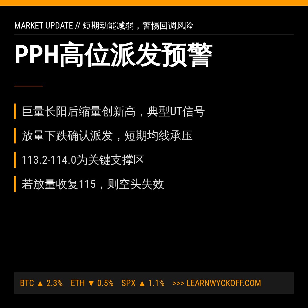 20260828 PPH 行情数据复盘报告（基于威科夫量价视角）