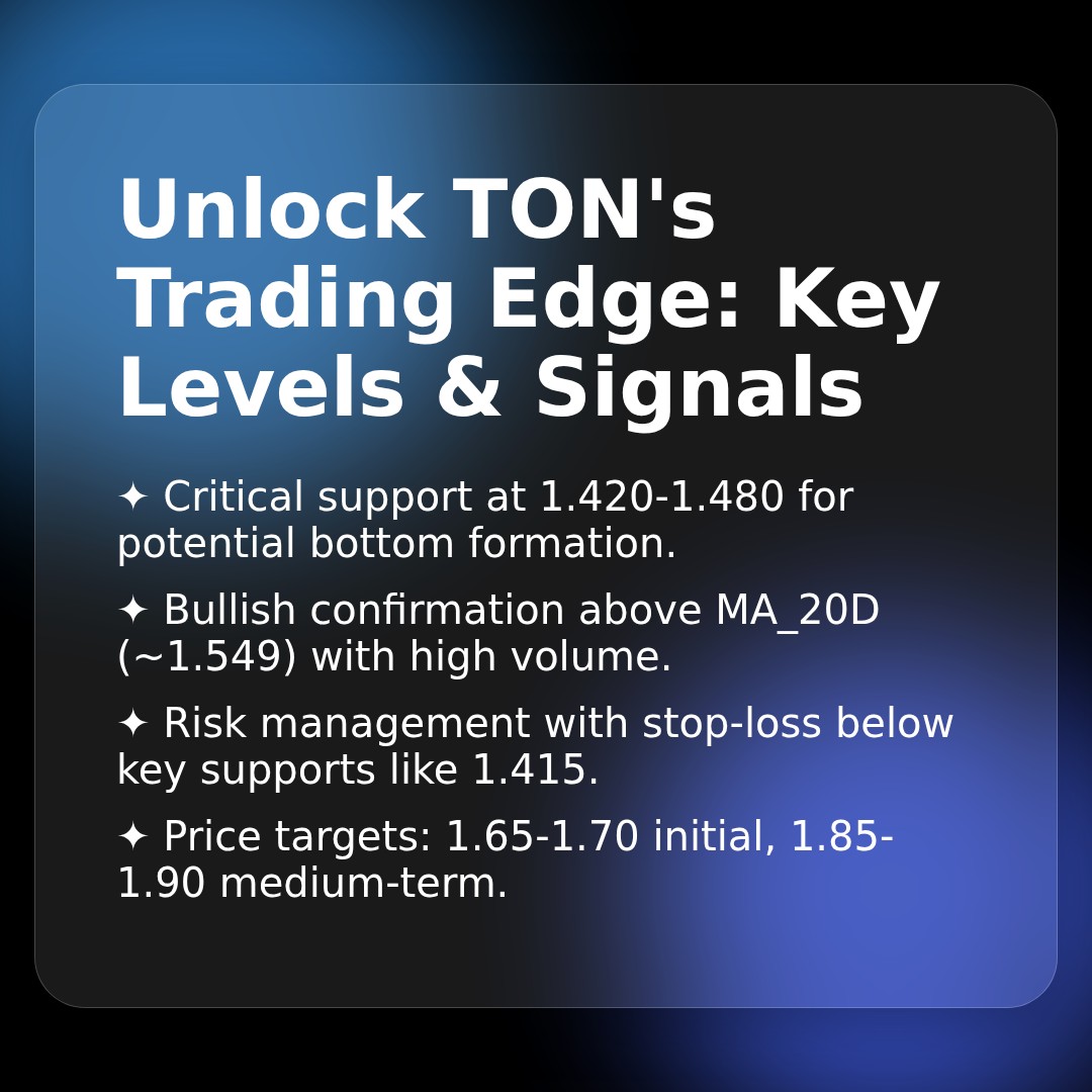 20251225 TONUSDT Market Data Review Report (Based on Wyckoff Volume-Price Perspective)