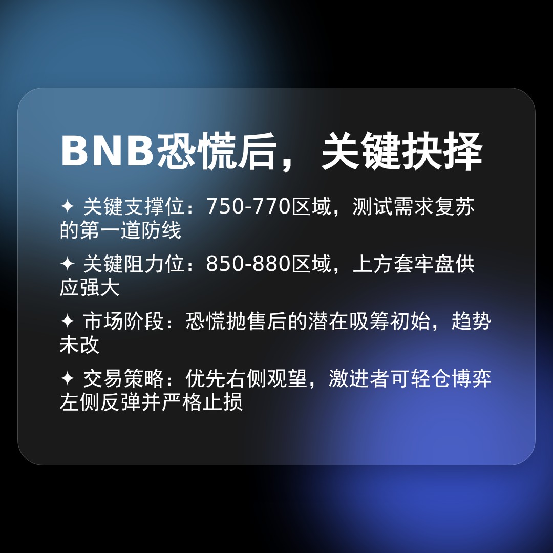 20260204 BNBUSDT 行情数据复盘报告（基于威科夫量价视角）